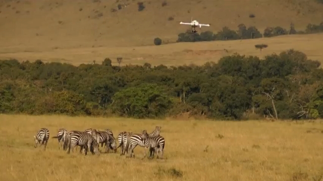 Квадрокоптер в африканской саванне (видео)